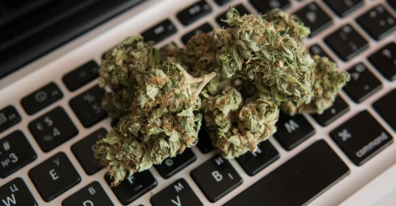 Where to Order Weed Online from Canada